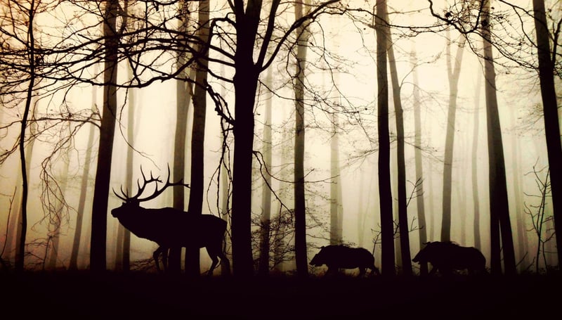Silent Myths